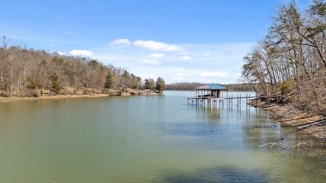 15887 Channel Pointe Dr Lot 58, Sale Creek TN, 37373 land for sale