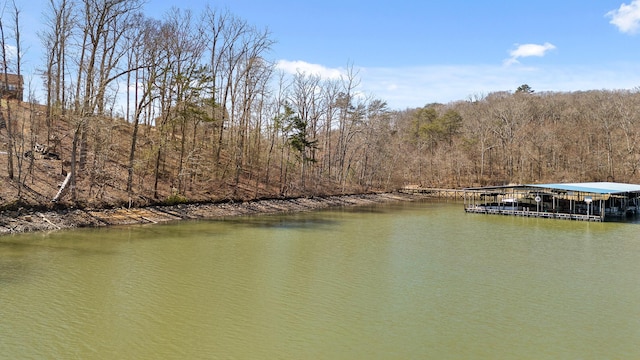 Listing photo 3 for 15887 Channel Pointe Dr Lot 58, Sale Creek TN 37373