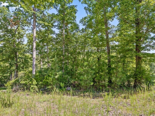 15887 Channel Pointe Dr Lot 58, Sale Creek, TN 37373 - photo 28