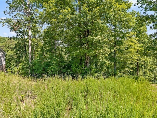 15887 Channel Pointe Dr Lot 58, Sale Creek, TN 37373 - photo 15