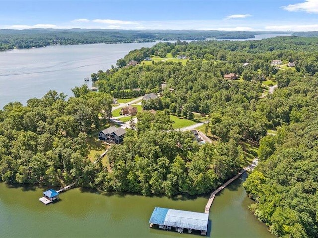 15887 Channel Pointe Dr Lot 58, Sale Creek, TN 37373 - photo 17