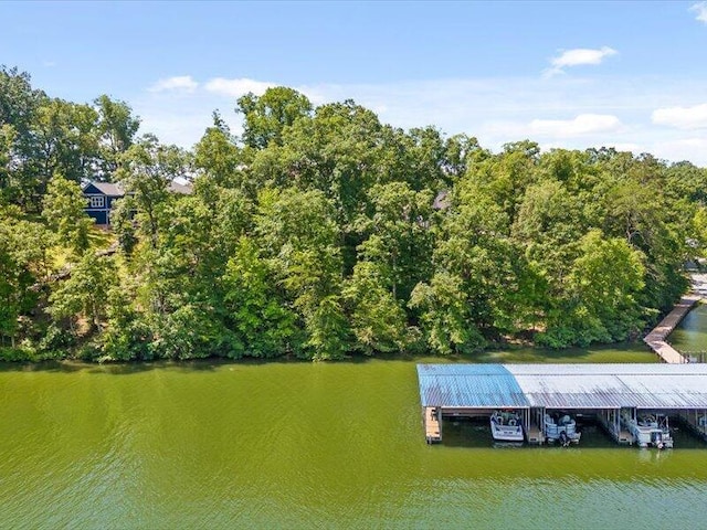 15887 Channel Pointe Dr Lot 58, Sale Creek, TN 37373 - photo 20