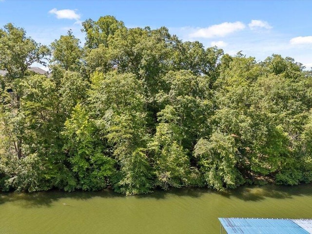 15887 Channel Pointe Dr Lot 58, Sale Creek, TN 37373 - photo 21