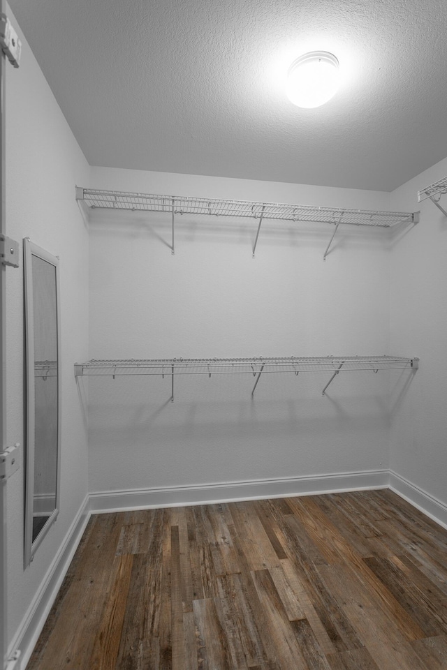 spacious closet with dark wood-type flooring