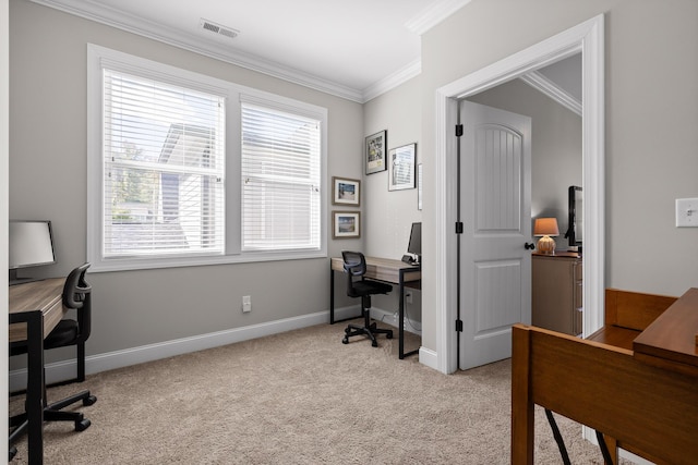 carpeted home office featuring baseboards, visible vents, and crown molding