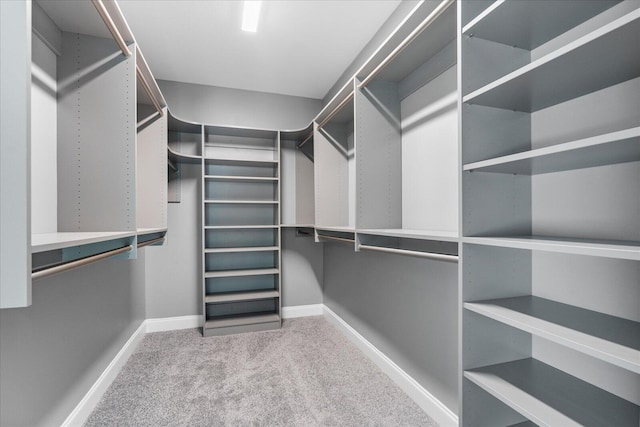 walk in closet with carpet flooring