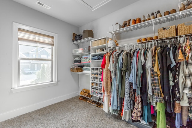 walk in closet with visible vents and carpet floors