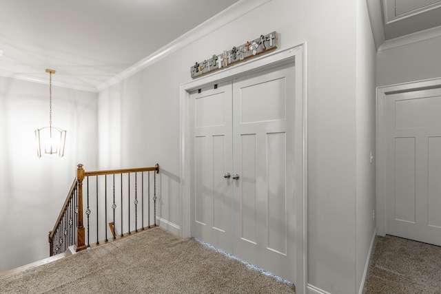 hallway with a chandelier, crown molding, and carpet