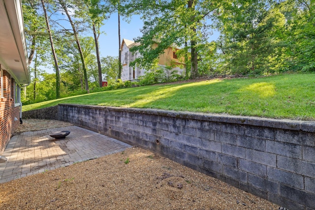 1723 Hixson Pike, Chattanooga, TN 37405 - view of yard featuring a patio