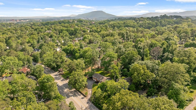1723 Hixson Pike, Chattanooga, TN 37405 - drone / aerial view with a view of trees and a mountain view