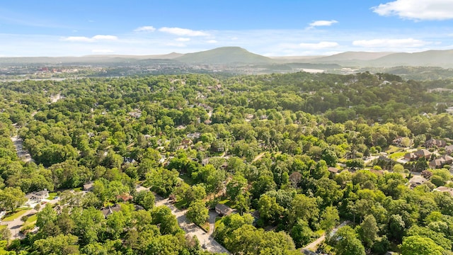 1723 Hixson Pike, Chattanooga, TN 37405 - bird's eye view featuring a view of trees and a mountain view