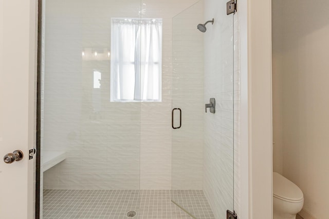 full bathroom featuring a shower stall and toilet