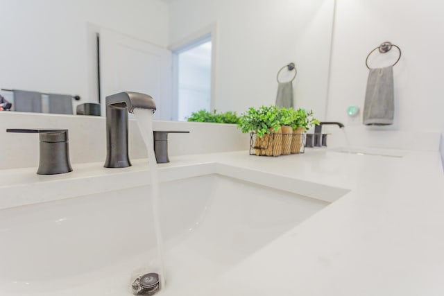 room details with double vanity and a sink