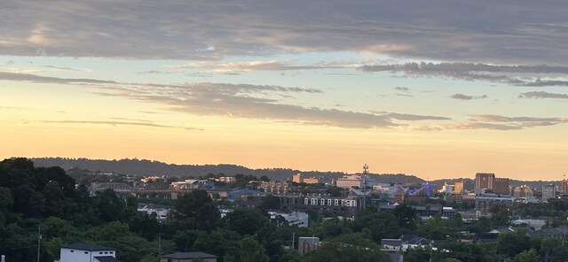 895 Cherokee Blvd Unit 103, Chattanooga, TN 37405 - view of city