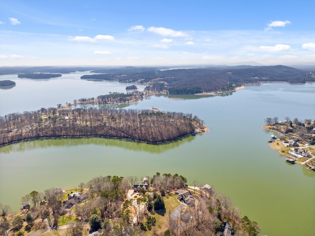 8906 Prairie Schooner Cir, Soddy Daisy, TN 37379 - photo 83