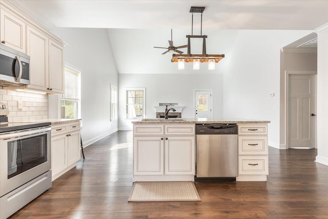 kitchen with dark wood finished floors, a healthy amount of sunlight, appliances with stainless steel finishes, and a sink