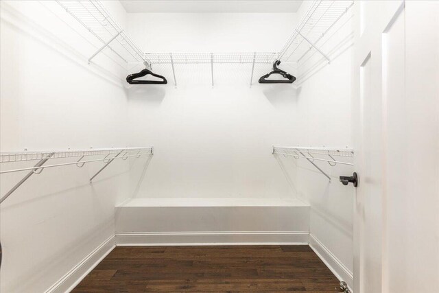 spacious closet featuring dark wood-type flooring