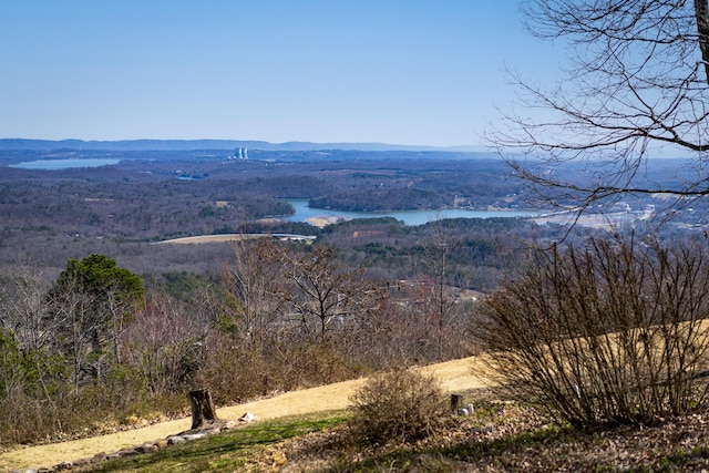 mountain view featuring a wooded view and a water view