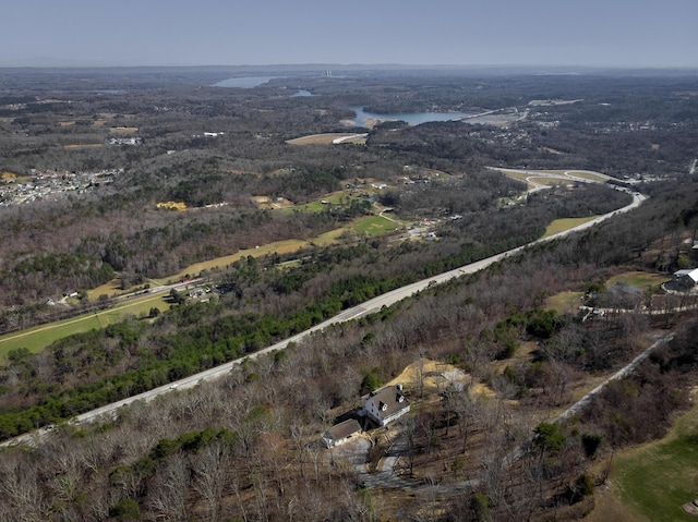 drone / aerial view