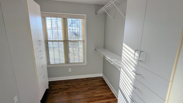 walk in closet with dark wood-style flooring