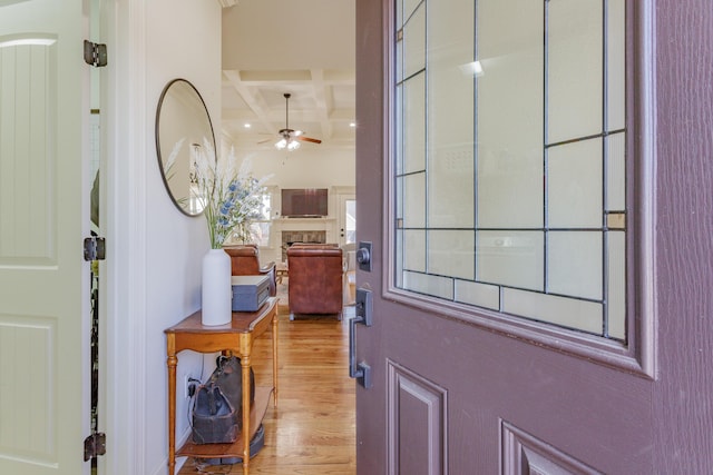 entryway featuring a ceiling fan, coffered ceiling, beam ceiling, a fireplace, and light wood-type flooring