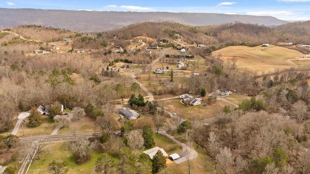 aerial view with a mountain view