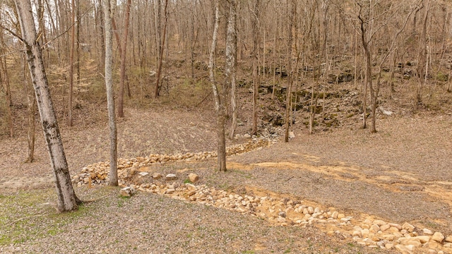 view of landscape