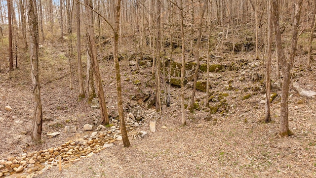 view of nature with a forest view