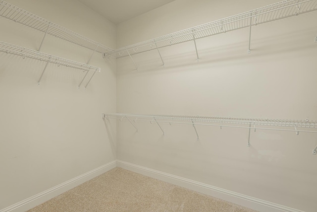 4581 Sweet Berry Ln, Ooltewah, TN 37363 - spacious closet featuring carpet