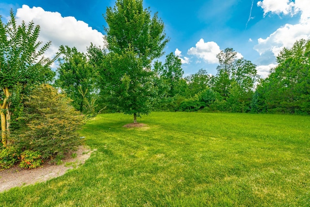 4581 Sweet Berry Ln, Ooltewah, TN 37363 - view of grassy yard