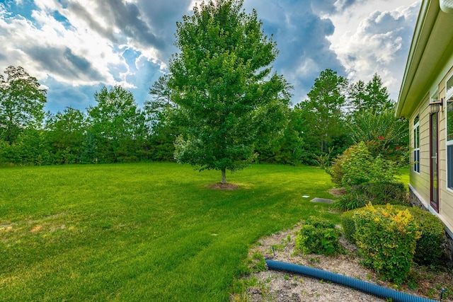 4581 Sweet Berry Ln, Ooltewah, TN 37363 - view of green lawn