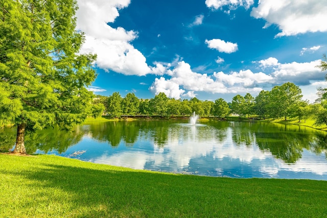 4581 Sweet Berry Ln, Ooltewah, TN 37363 - water view