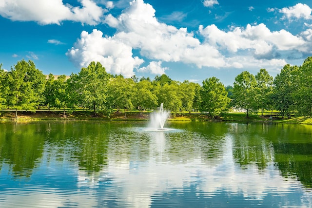 4581 Sweet Berry Ln, Ooltewah, TN 37363 - water view