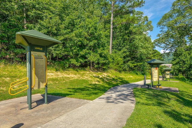 4581 Sweet Berry Ln, Ooltewah, TN 37363 - view of home's community featuring a lawn