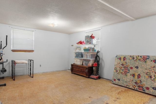 misc room featuring carpet and a textured ceiling