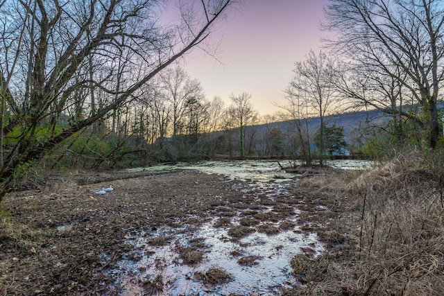 4513 Lamont Ln, Chattanooga, TN 37415 - view of yard