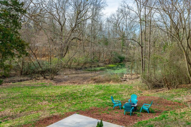 4513 Lamont Ln, Chattanooga, TN 37415 - view of yard featuring a patio