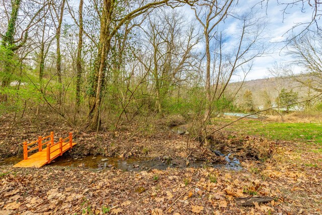4513 Lamont Ln, Chattanooga, TN 37415 - view of yard