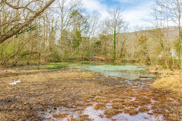 4513 Lamont Ln, Chattanooga, TN 37415 - view of nature featuring a wooded view