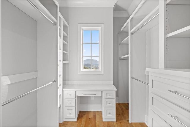 walk in closet featuring built in study area and light wood finished floors