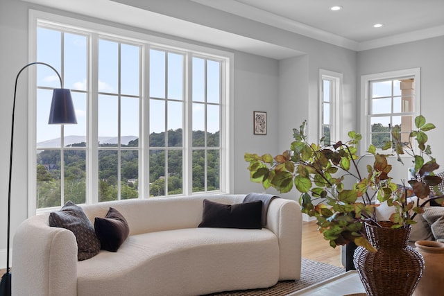 1109 Meroney St, Chattanooga, TN 37405 - living room with a mountain view, wood finished floors, and recessed lighting
