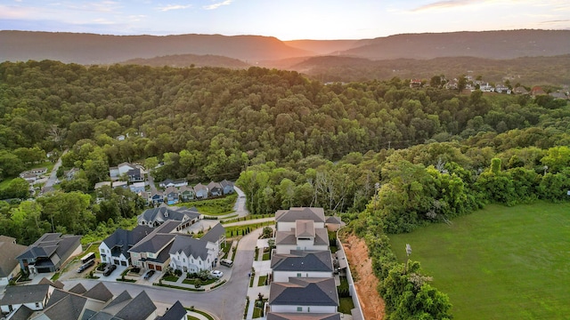 1109 Meroney St, Chattanooga, TN 37405 - aerial perspective of suburban area with a heavily wooded area and mountains