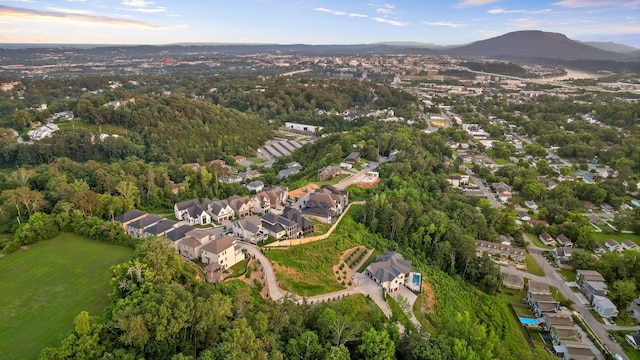 1109 Meroney St, Chattanooga, TN 37405 - aerial view of property and surrounding area featuring nearby suburban area and a mountain backdrop