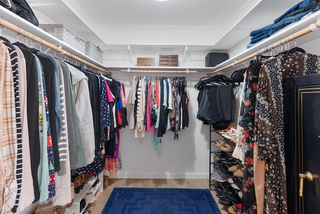 walk in closet with wood finished floors