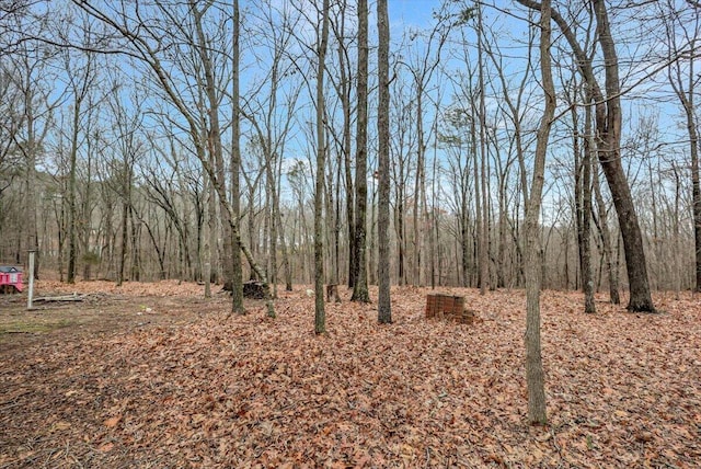 view of landscape featuring a wooded view