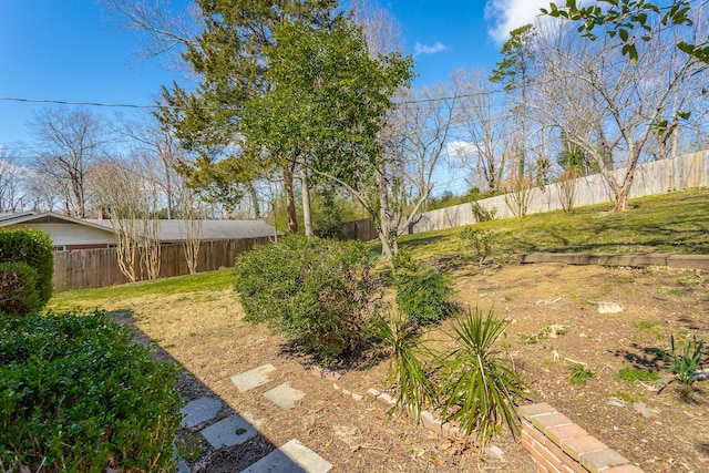 view of yard featuring a fenced backyard