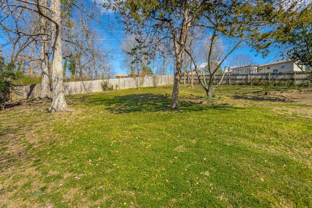 view of yard featuring a fenced backyard