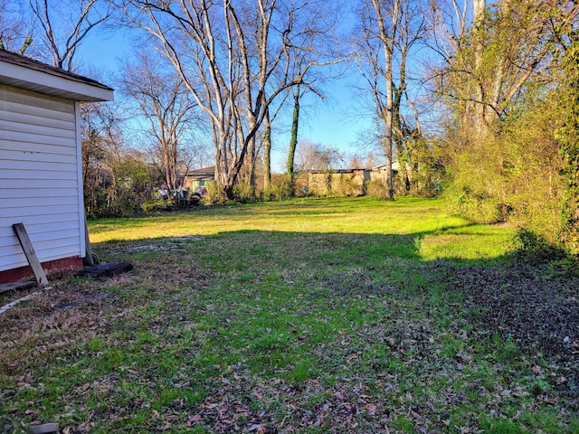 view of yard