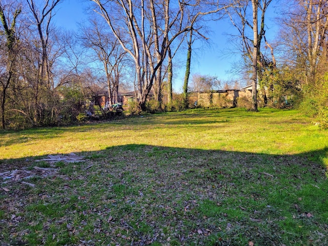 1707 Ocoee St, Chattanooga, TN 37406 - photo 8
