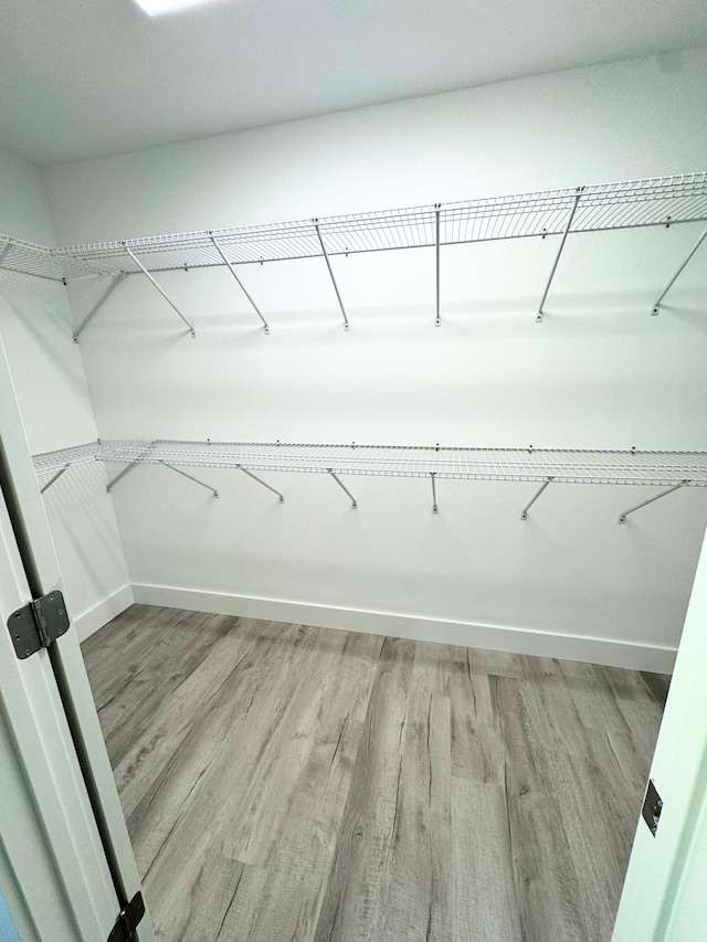 walk in closet with light wood finished floors